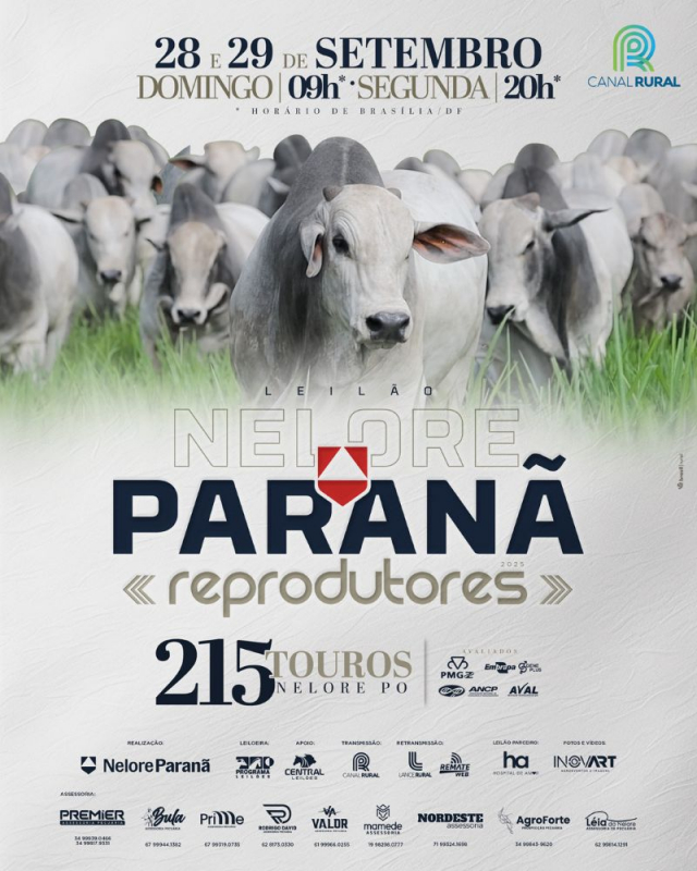 Leilão Virtual Nelore Paranã - Reprodutores.