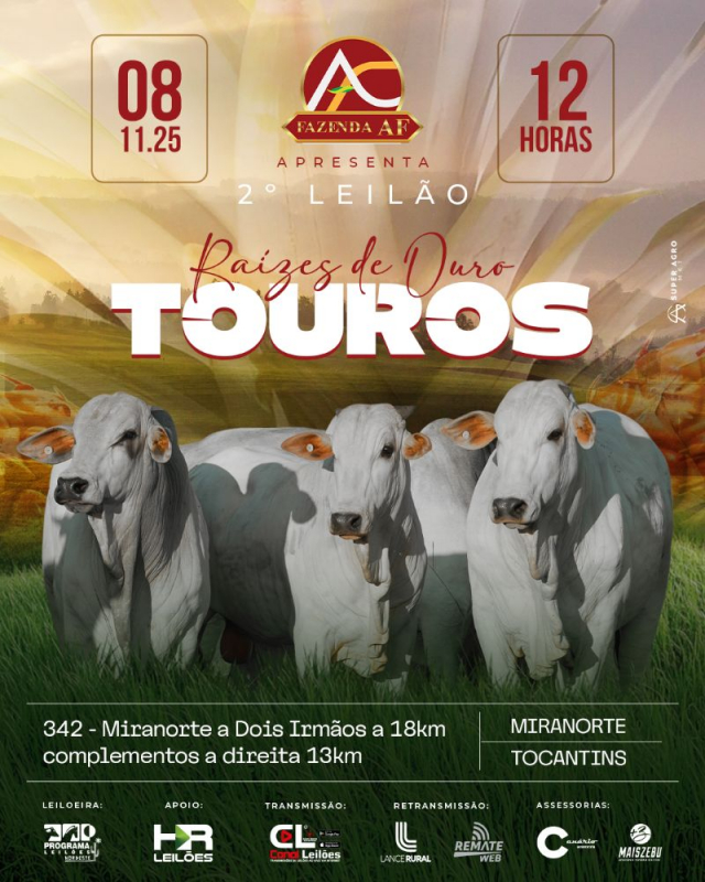 2º Leilão Raizes de Ouro Fazenda AF- Etapa Touros