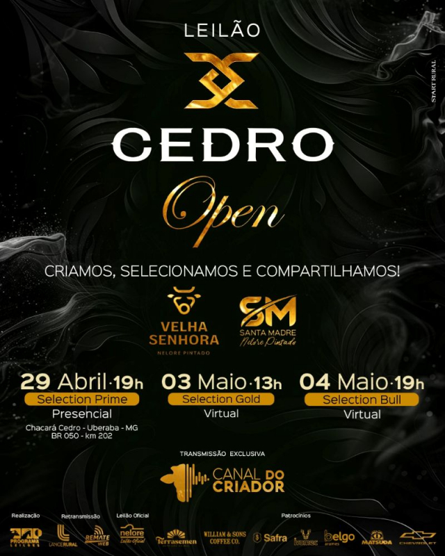 Leilão Cedro Open - Selection Prime