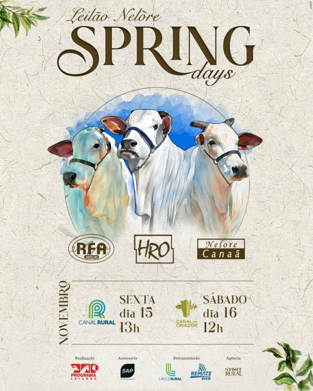 Leilão Virtual Nelore Spring Day