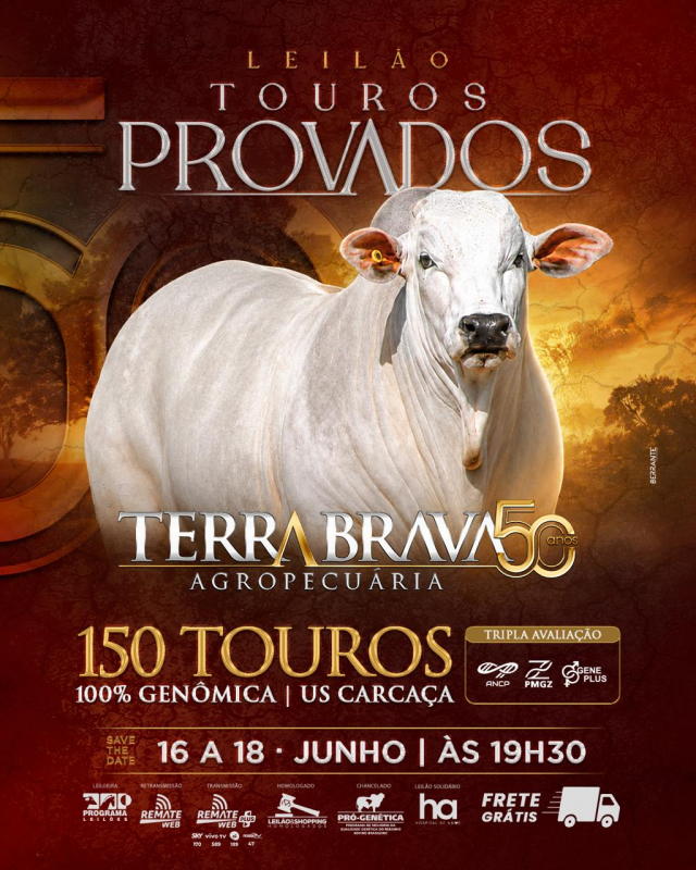Touros Provados Terra Brava Agropecuária - 1º Etapa