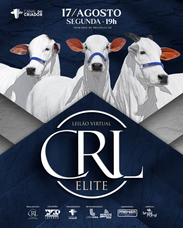 Leilão Virtual CRL Elite