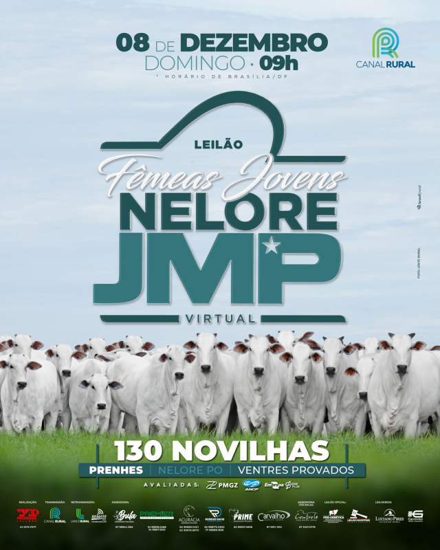 Leilão Virtual Fêmeas Jovens Nelore JMP