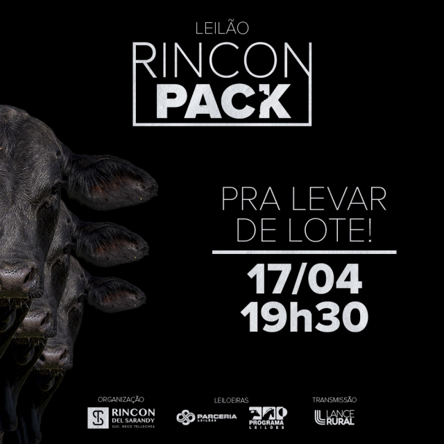 Leilão Rincon Pack