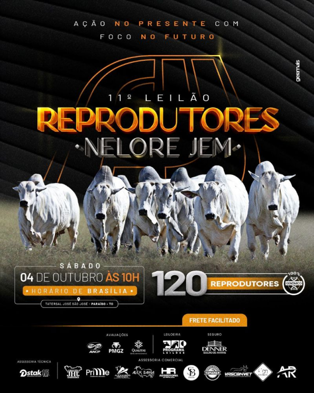11º Leilão Reprodutores Nelore JEM