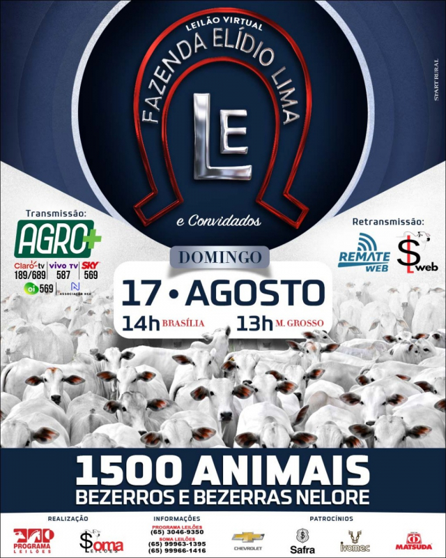 9º Leilão Virtual Fazenda Elídio Lima & Convidados