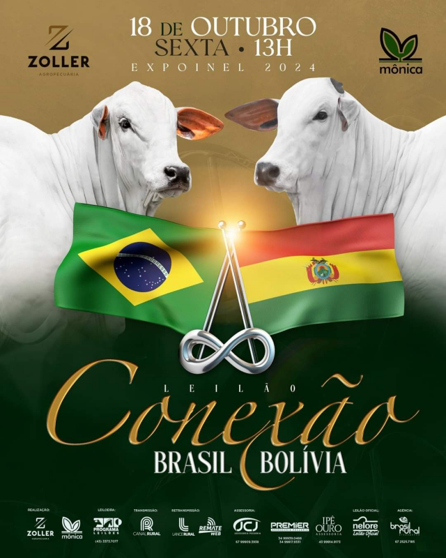 Leilão Conexão Brasil - Bolivia