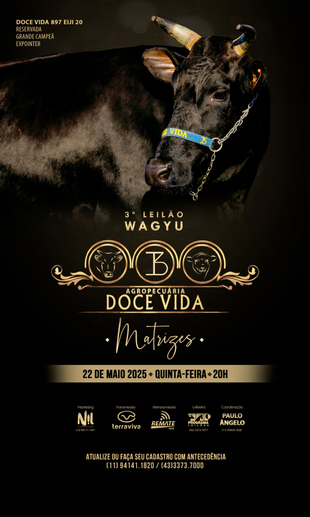 3° Leilão Wagyu Agropecuária Doce Vida - Matrizes