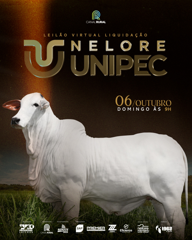 Leilão Virtual Liquidação Nelore UNIPEC