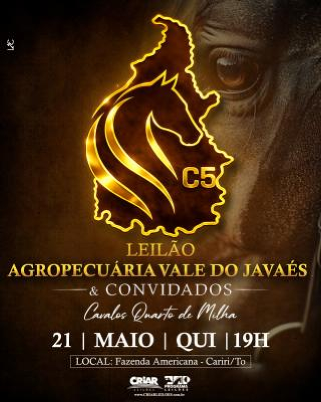 Leilão Agropecuária Vale do Javaés & Convidados