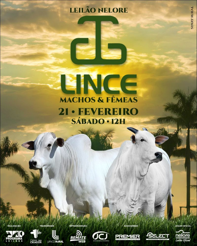 Leilão Virtual Nelore Lince - Machos e Fêmeas