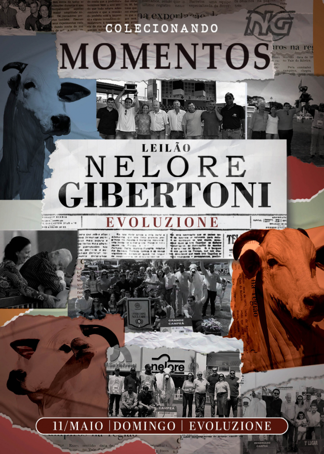 Leilão Nelore Gibertoni - Evoluzione