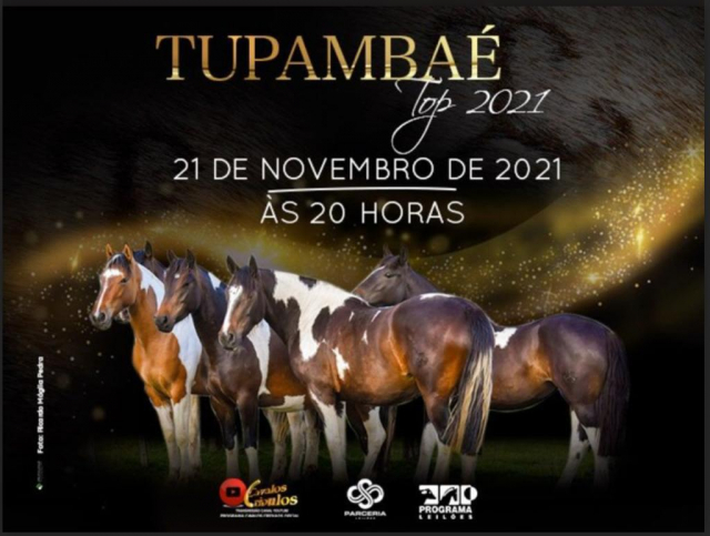 Leilão Tupambaé Top 2021