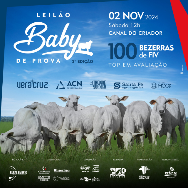 Leilão Baby de Prova - 2° Edição