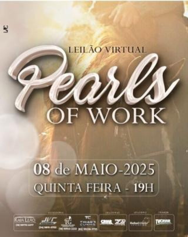 Leilão Virtual Pearls Of Work