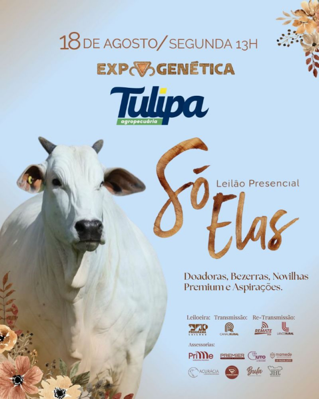 Leilão Presencial Só Elas - Tulipa Agropecuária - Expogenética