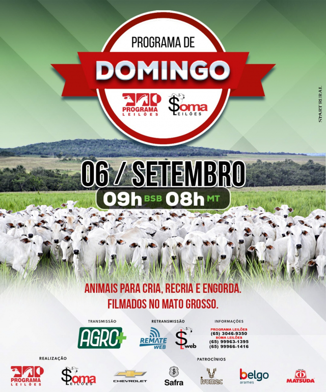162° Programa de Domingo - Programa e Soma Leilões