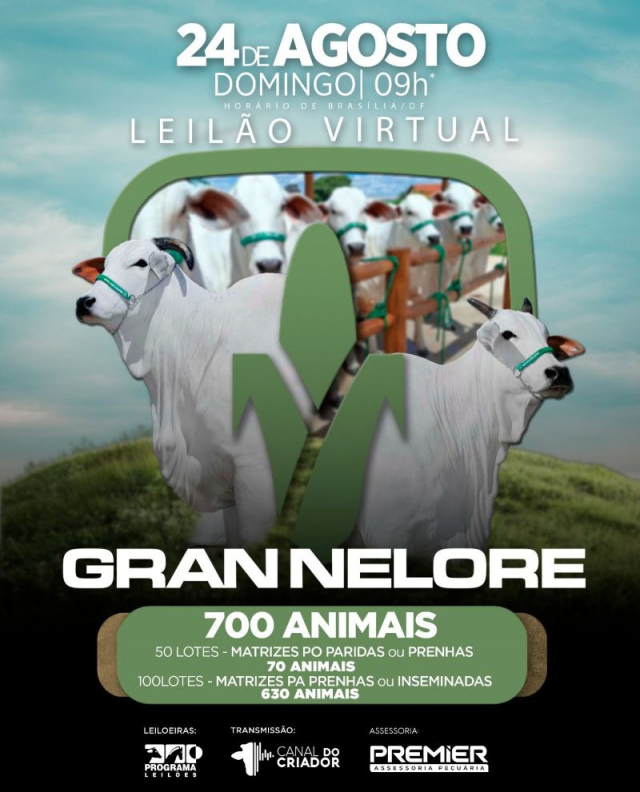 Leilão Virtual Gran Nelore