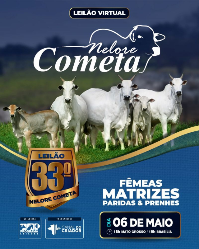 33º Leilão Virtual Nelore Cometa - Fêmeas Matrizes Paridas e Prenhes