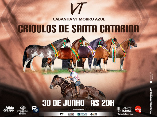 Leilão Virtual Cabanha VT Morro Azul - Crioulos de Santa Catarina