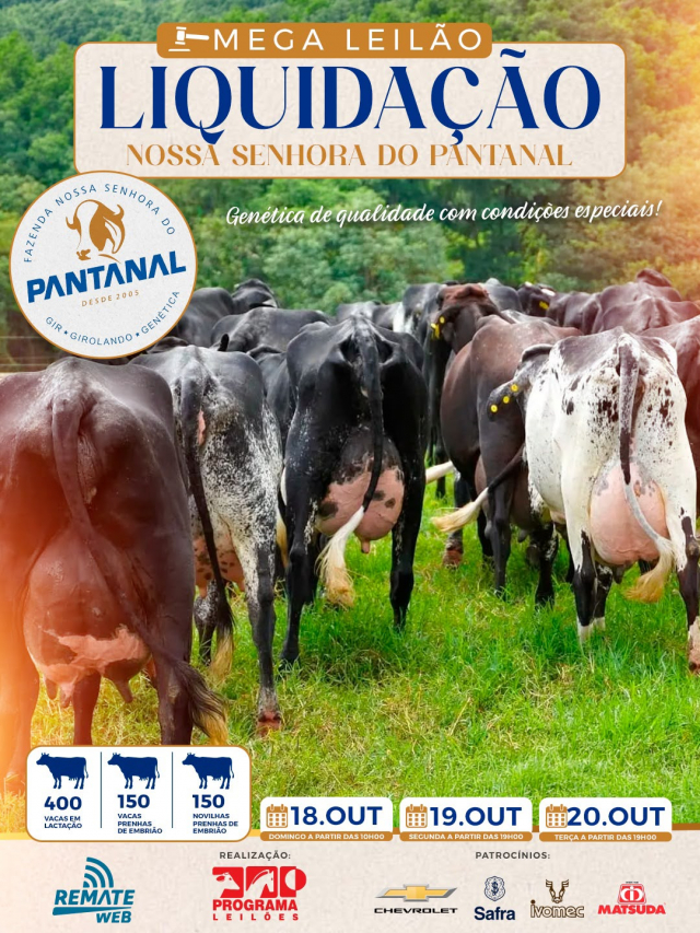 Mega Leilão Liquidação Nossa Senhora do Pantanal.