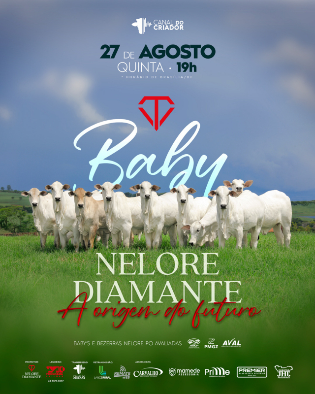 Leilão Baby Nelore Diamante - A origem do Futuro