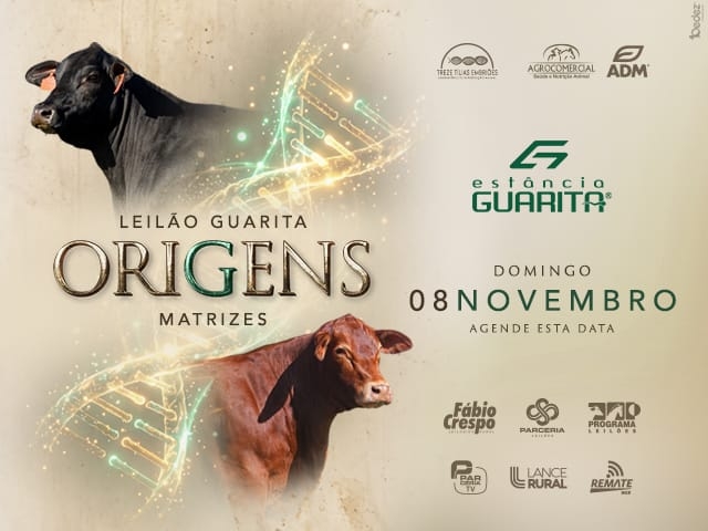 Leilão Guarita Origens Matrizes