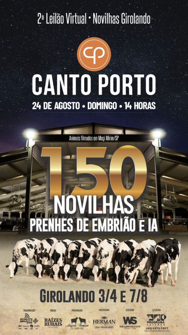 2º Leilão Virtual Novilhas Girolando Canto Porto