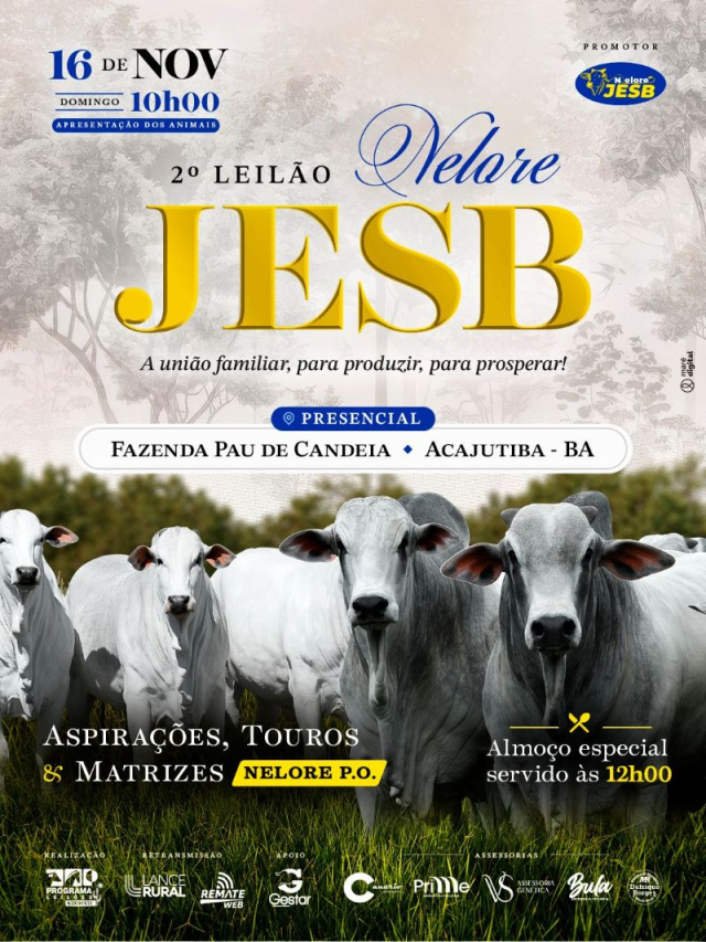 2º Leilão Nelore JESB