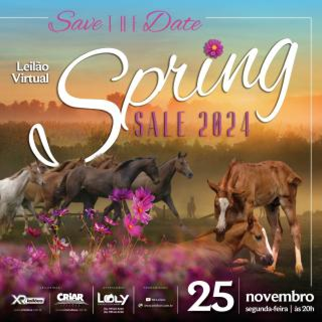 Leilão Virtual Spring Sale