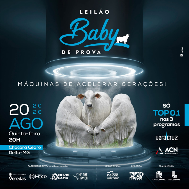 Leilão Baby de Prova - Máquinas de Acelerar Gerações