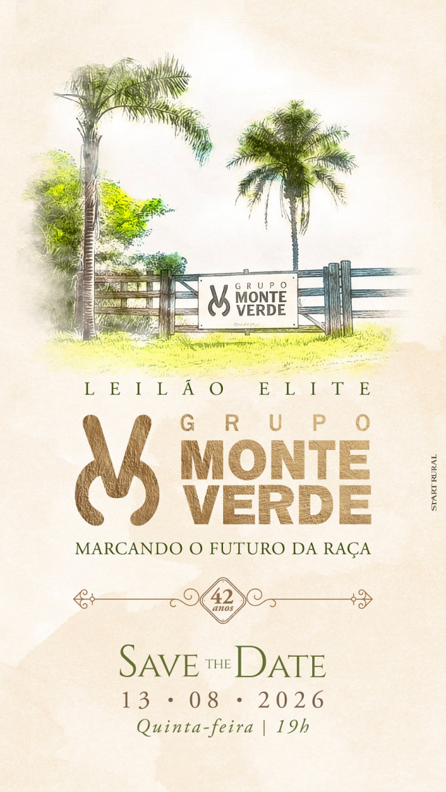 Leilão Elite Grupo Monte Verde