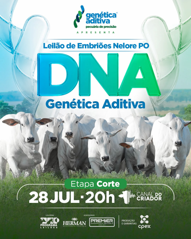 Leilão de Embriões Nelore PO - DNA Genética Aditiva