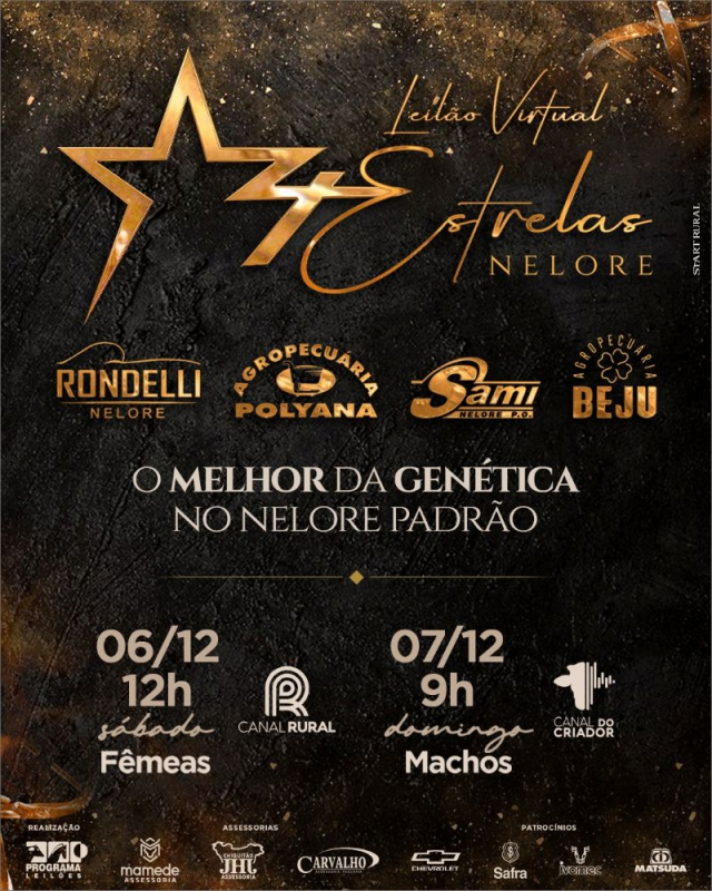 Leilão Virtual 4 Estrelas Nelore - Fêmeas