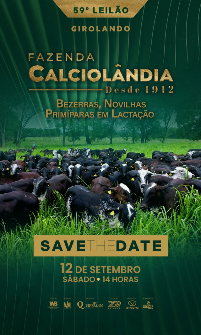 59° Girolando Fazenda Calciolândia
