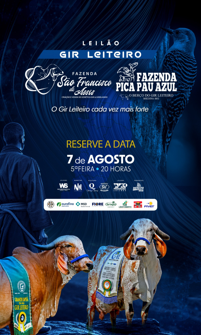 Leilão Virtual São Francisco de Assis e Fazenda Pica Pau Azul
