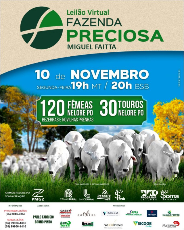Leilão Virtual Fazenda Preciosa