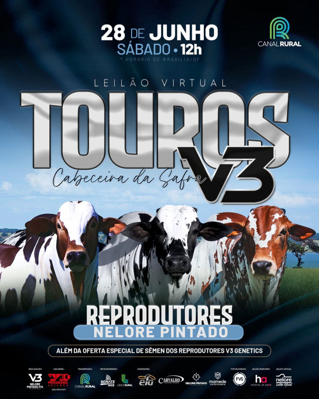 Leilão Virtual Touros V3 - Cabeceira da Safra