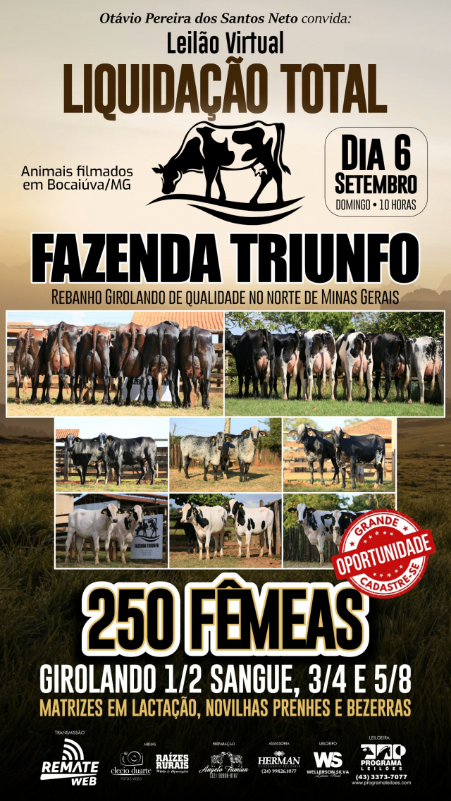 Leilão Virtual Liquidação Fazenda Triunfo