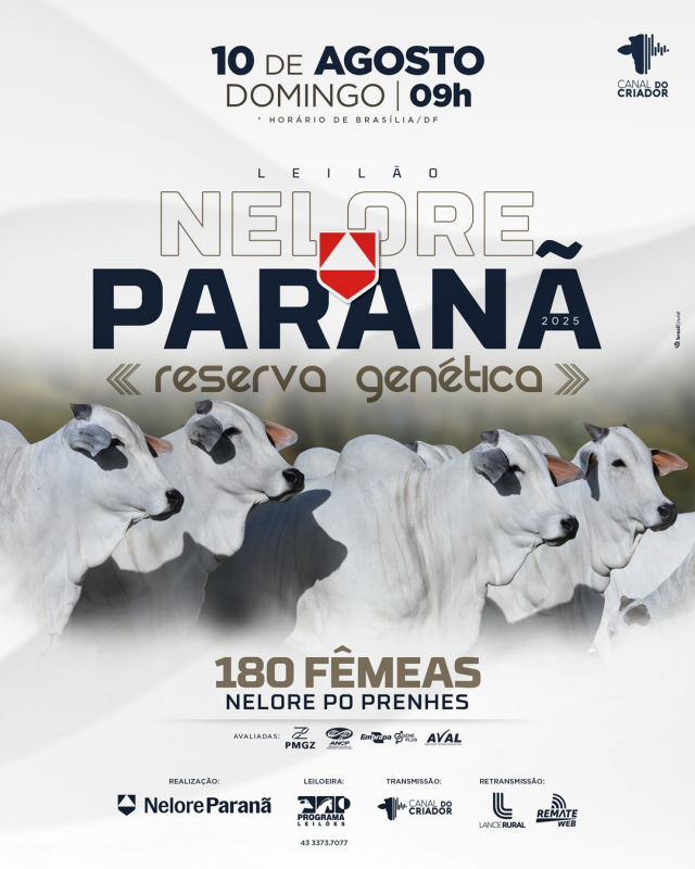 Leilão Virtual Nelore Paranã - Reserva Genética