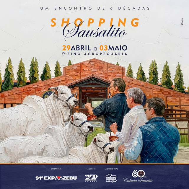 Shopping Sausalito - Um encontro de 6 Décadas