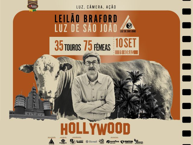 Leilão Virtual Braford Luz de São João