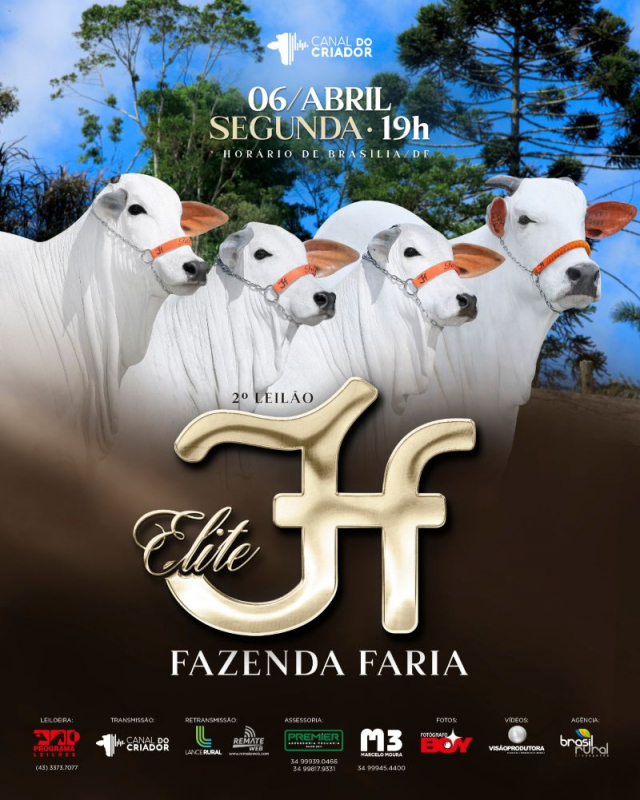 2º Leilão Virtual Elite Fazenda Faria