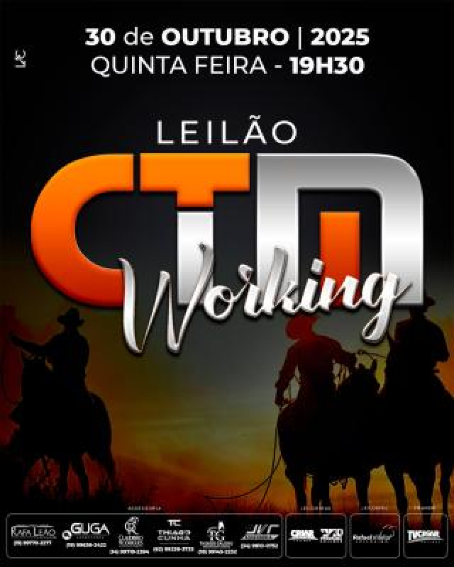 Leilão Virtual CTM Working