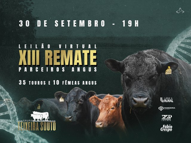 Leilão Virtual XIII Remate Parceiros Angus