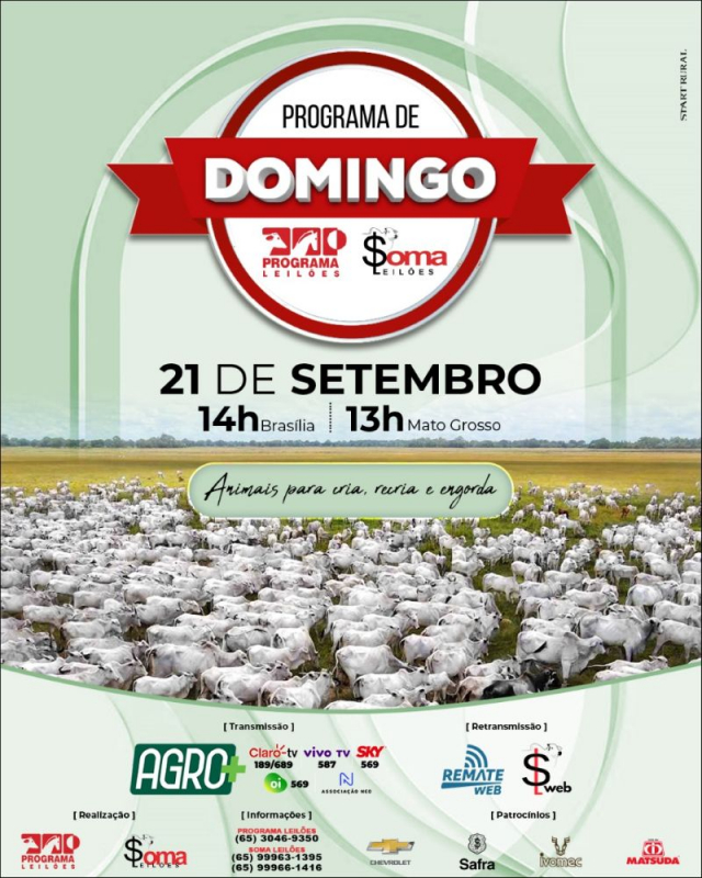 126º Programa de Domingo - Programa e Soma Leilões