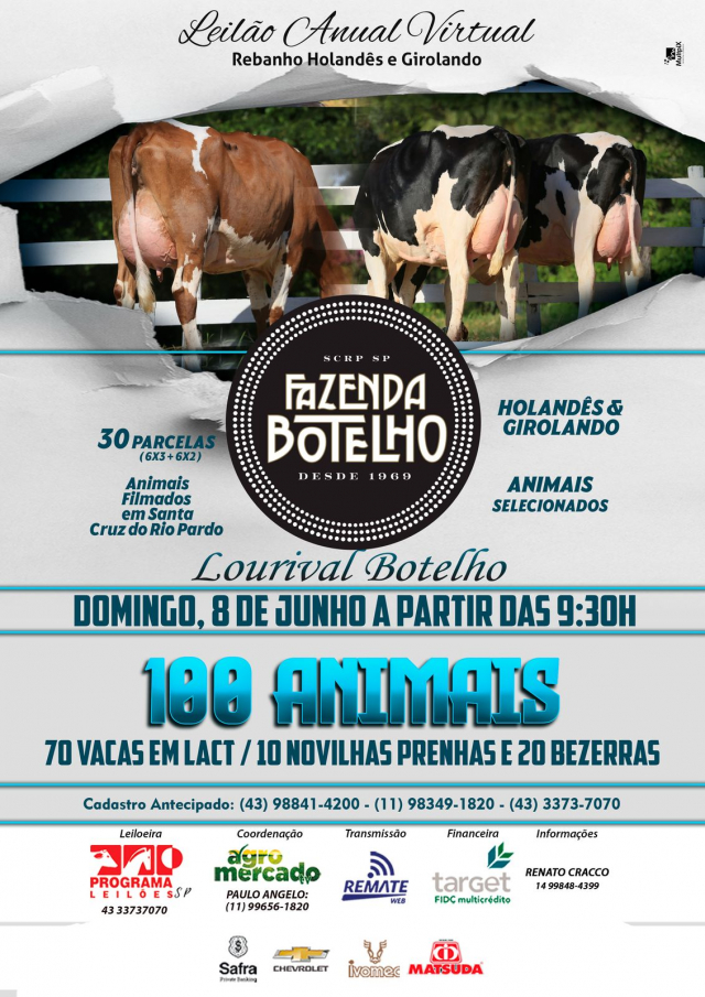Leilão Virtual Holândes e Girolando Fazenda Botelho