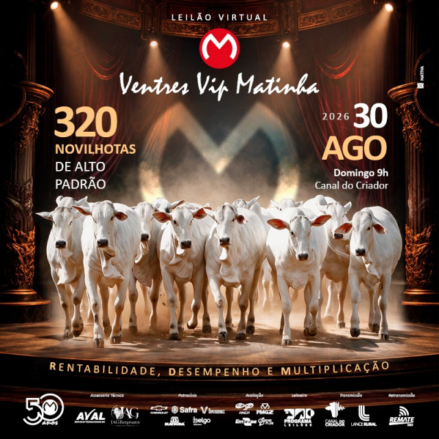 Bezerras Matinha
