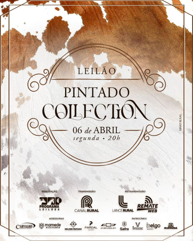 Leilão Virtual Pintado Collection