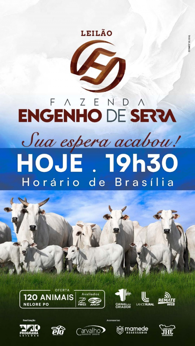 Leilão Virtual Fazenda Engenho de Serra